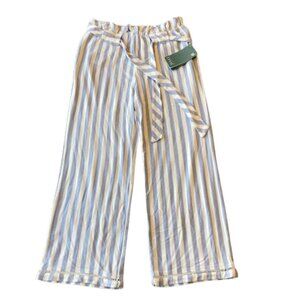 Lysse Linen Blend Pull On Pants Striped Crop Womens XS Blue White NWT
